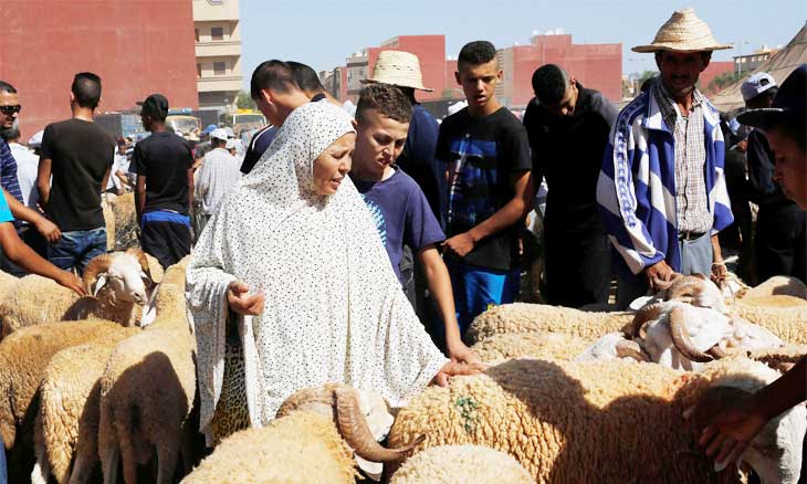 هل وصلكم ثغاء «أكباش» الحكومة القادمة من بلاد العجم… ومعرض الكتاب تحت الخيام؟!
