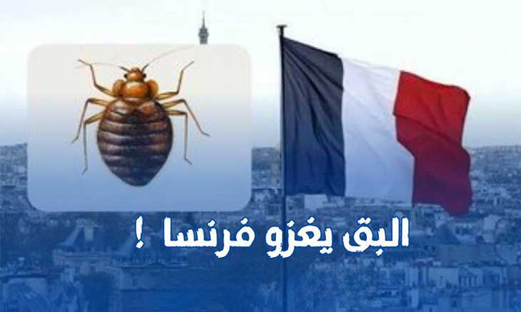 وزراء من المغرب والجزائر ينكأون جراح ماكرون!