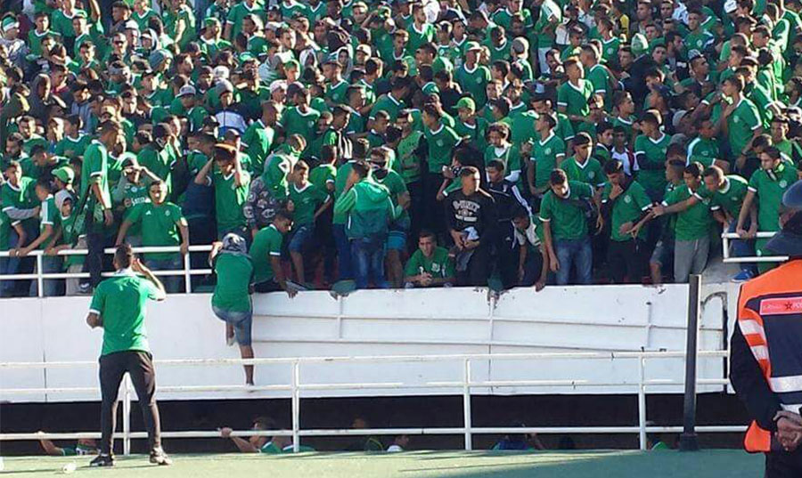 صراع الديكة في المغرب بين وزير وبرلماني … وفرعون الجديد يبشر بسجن 5 نجوم!